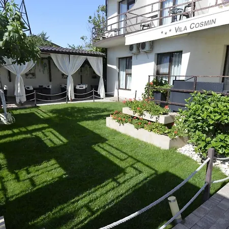 Vila Cosmin-2